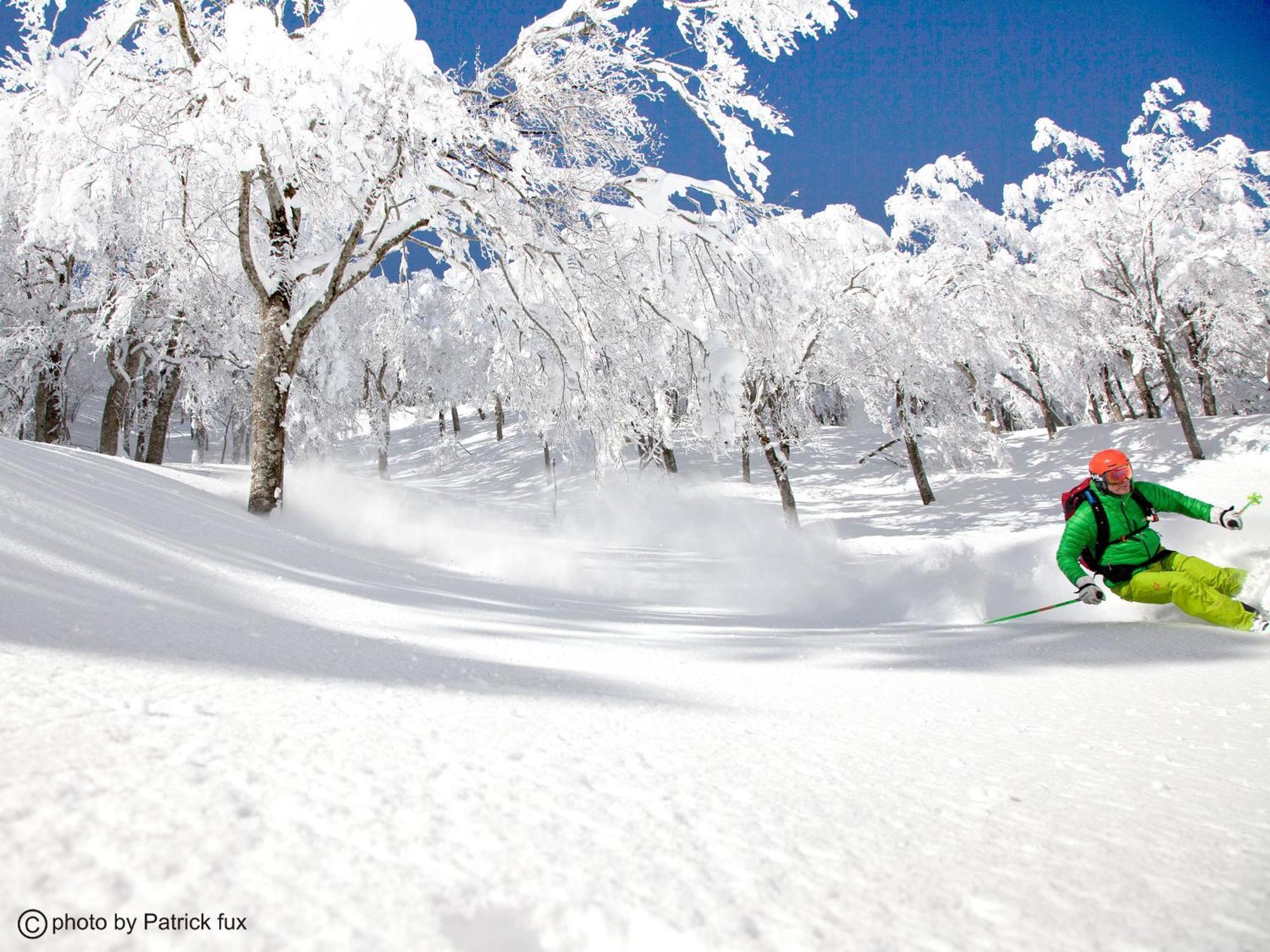 Hotel Green Plaza Hakuba Otari Extérieur photo