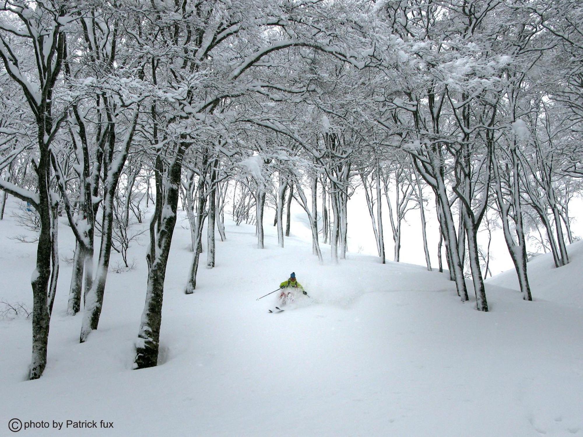 Hotel Green Plaza Hakuba Otari Extérieur photo